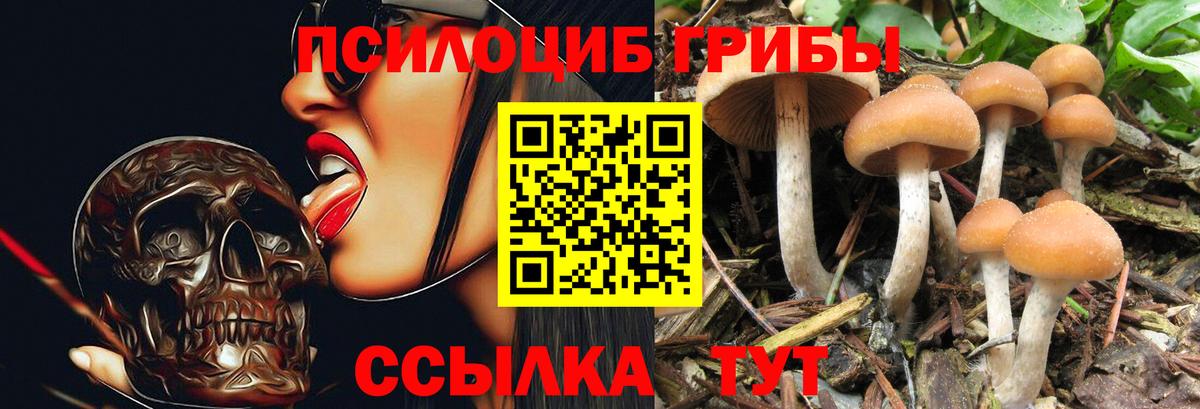 Псилоцибиновые грибы прущие грибы Семёнов