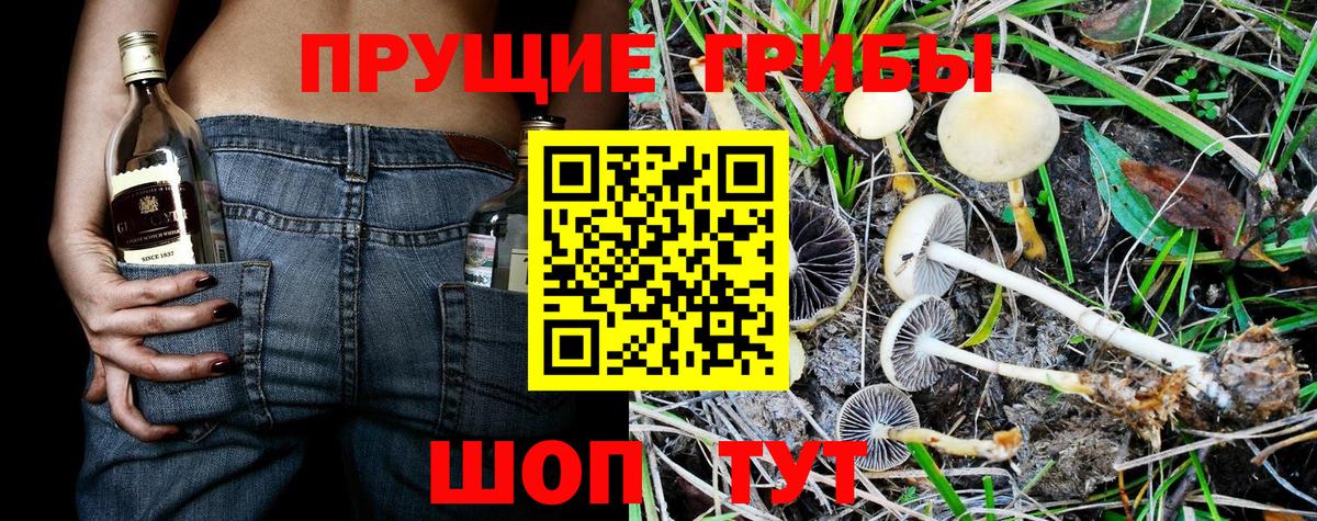 Галлюциногенные грибы мицелий  Вход с VPN  хочу   Семёнов 